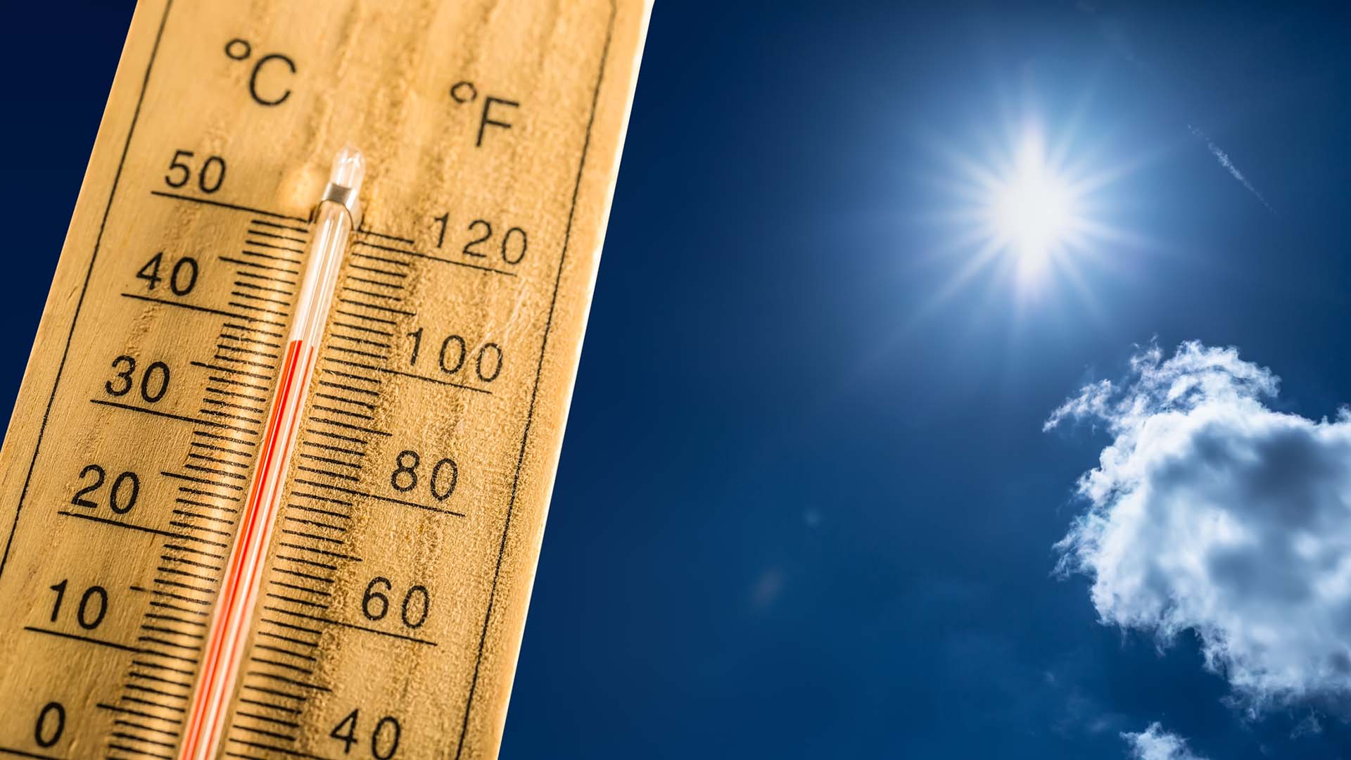 Ola de calor en Argentina: ¿Cuándo llegaría el alivio? Ola de calor en Argentina: ¿Cuándo llegaría el alivio?