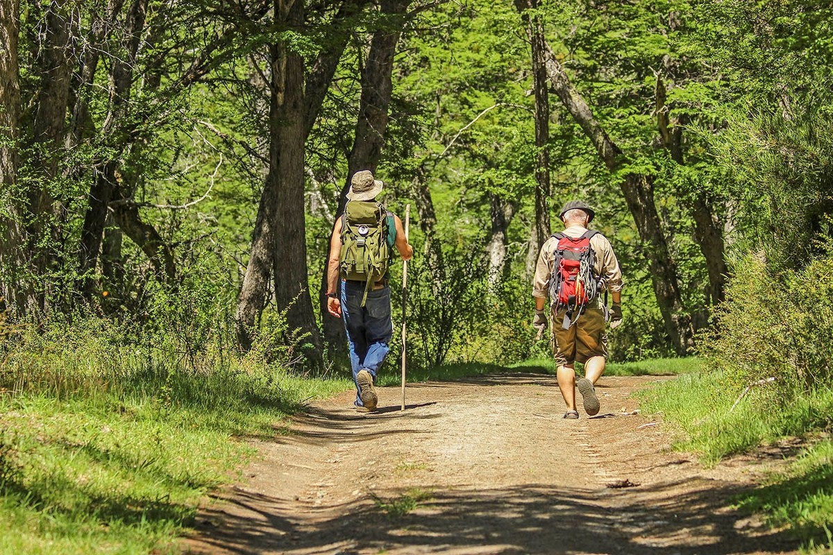 Salud y bienestar: por qué 30 minutos de caminata diaria pueden transformar su vida Salud y bienestar: por qué 30 minutos de caminata diaria pueden transformar su vida