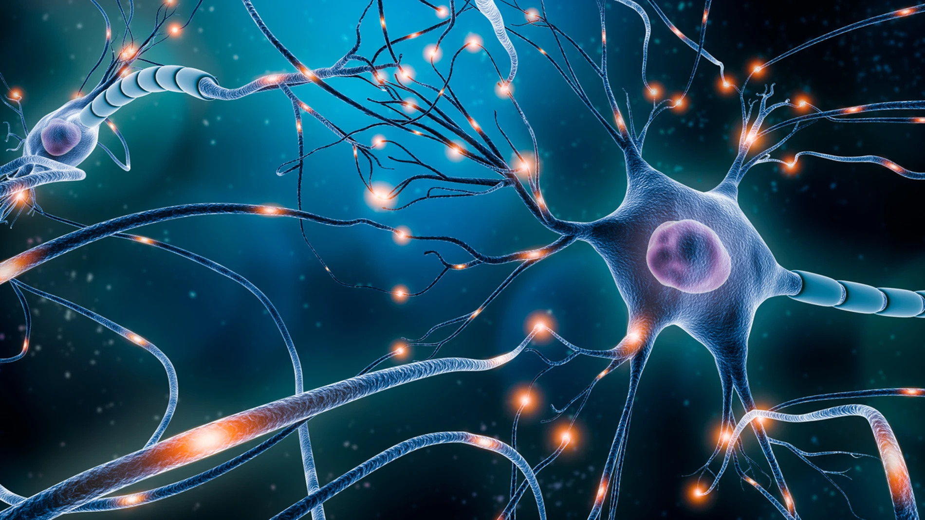 La privacidad mental, el &uacute;ltimo territorio sin ley: Qu&eacute; protecciones existen (y cu&aacute;les no) para los datos neuronales