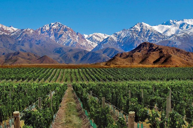 Clima en Mendoza: el pronóstico del tiempo para el lunes 22 de diciembre Clima en Mendoza: el pronóstico del tiempo para el lunes 22 de diciembre