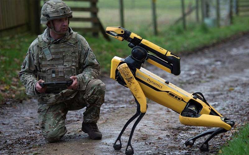 Robots rescatistas: tecnología que entra donde los humanos no pueden Robots rescatistas: tecnología que entra donde los humanos no pueden