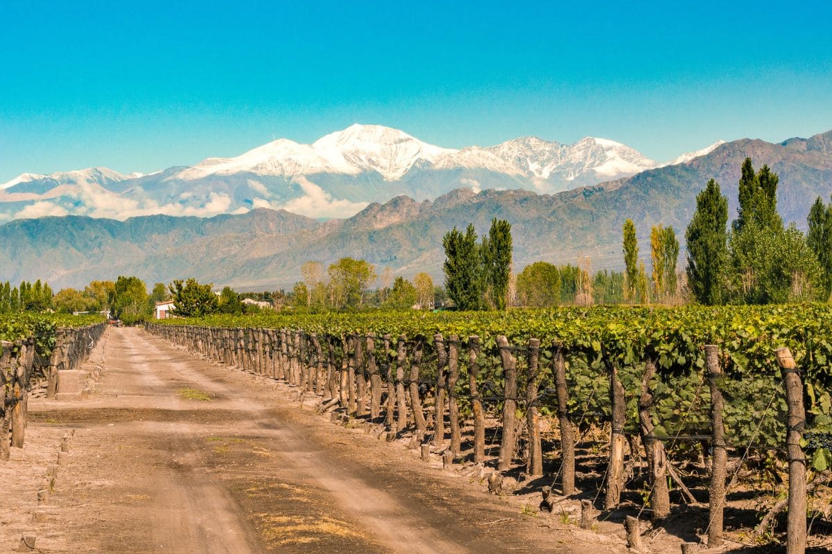 Clima en Mendoza: el pronóstico del tiempo para este martes 6 de enero de 2026 Clima en Mendoza: el pronóstico del tiempo para este martes 6 de enero de 2026