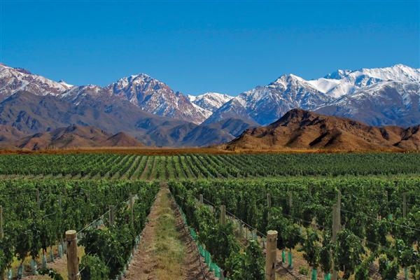 Clima en Mendoza: qu&eacute; dice el pron&oacute;stico para este martes 10 de febrero de 2026