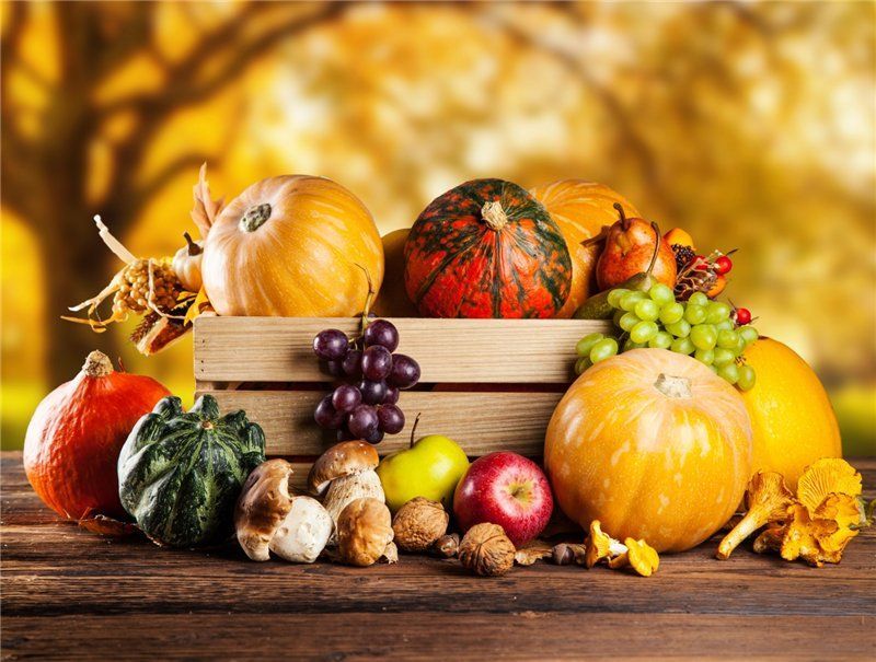 Salud y bienestar: &iquest;C&oacute;mo adaptar tu dieta para recibir al oto&ntilde;o con energ&iacute;a?