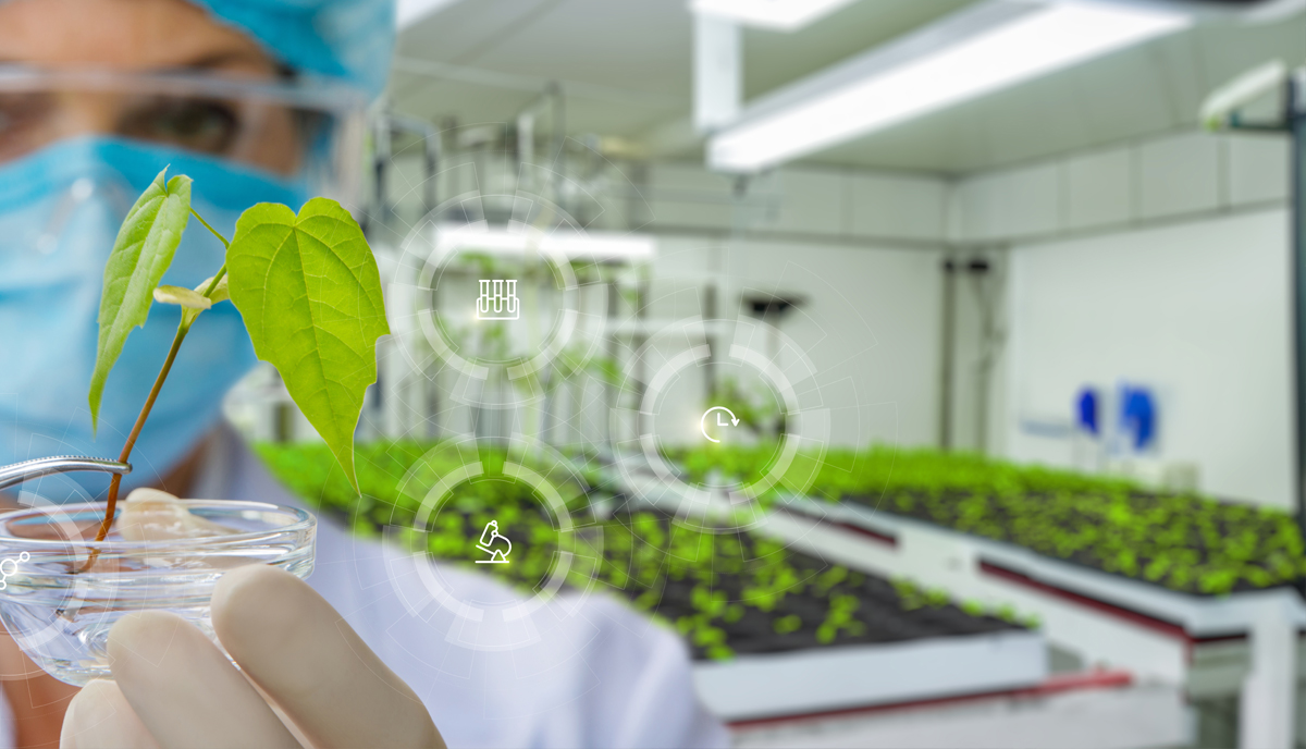 Agtech y biotecnología: la revolución silenciosa que redefine el agro en Uruguay y Paraguay Agtech y biotecnología: la revolución silenciosa que redefine el agro en Uruguay y Paraguay