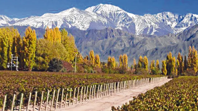 Clima en Mendoza hoy: cómo estará el tiempo este martes 3 de marzo de 2026 según el SMN Clima en Mendoza hoy: cómo estará el tiempo este martes 3 de marzo de 2026 según el SMN