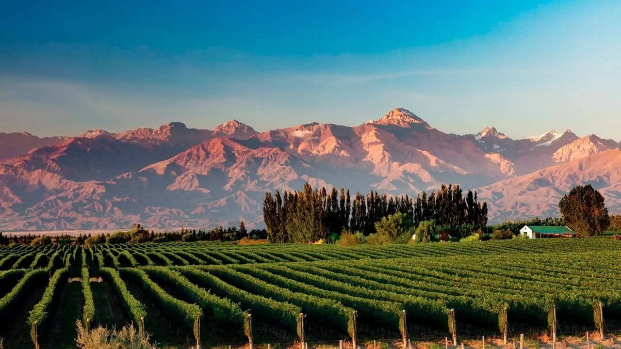 Clima en Mendoza hoy: cómo estará el tiempo este miércoles 1 de abril de 2026 según el Servicio Meteorológico Nacional Clima en Mendoza hoy: cómo estará el tiempo este miércoles 1 de abril de 2026 según el Servicio Meteorológico Nacional