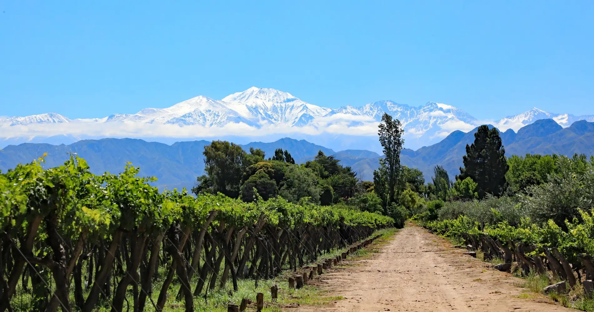 Clima en Mendoza hoy: c&oacute;mo estar&aacute; el tiempo este lunes 6 de abril de 2026