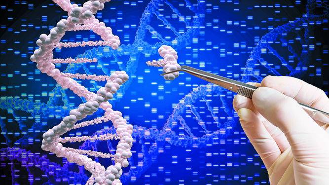 Edici&oacute;n gen&eacute;tica: &iquest;hasta d&oacute;nde puede llegar la humanidad al modificar el ADN?