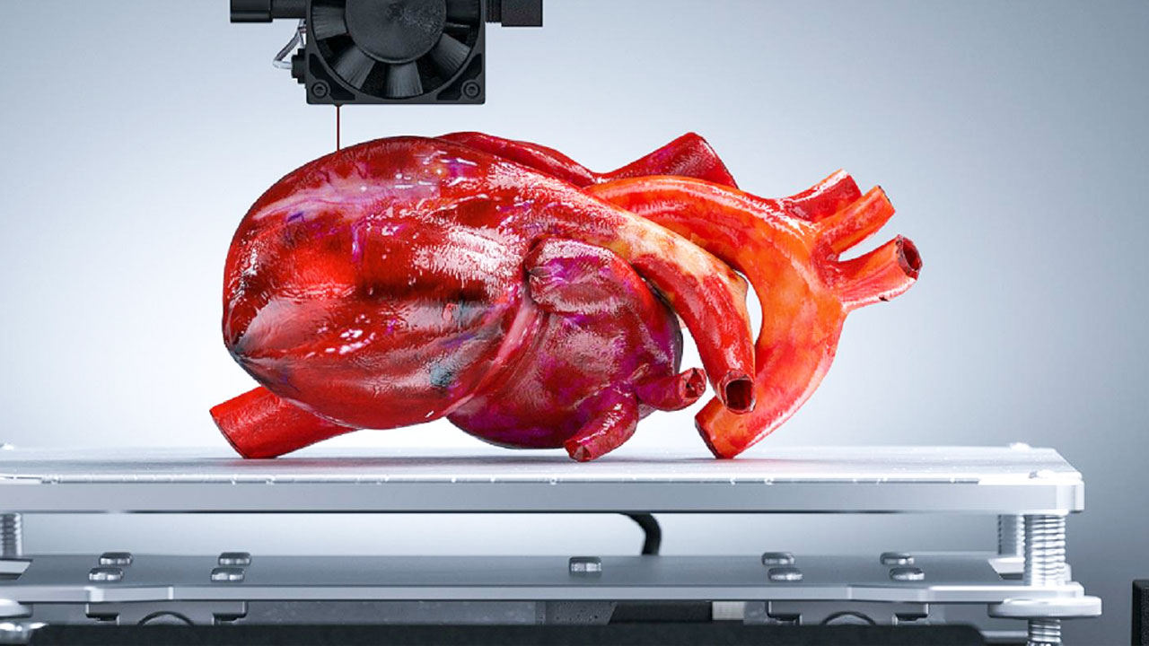 Órganos impresos en 3D: la revolución biomédica que busca fabricar tejidos humanos en laboratorio Órganos impresos en 3D: la revolución biomédica que busca fabricar tejidos humanos en laboratorio