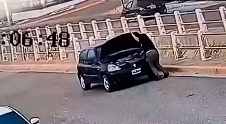 Comodoro Rivadavia: fue atropellada por su propio auto mientras revisaba la batería Comodoro Rivadavia: fue atropellada por su propio auto mientras revisaba la batería