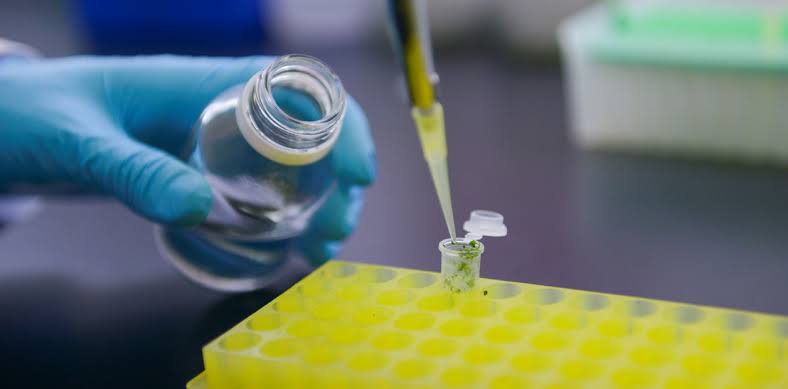 Las startups argentinas de biotecnolog&iacute;a que buscan competir globalmente