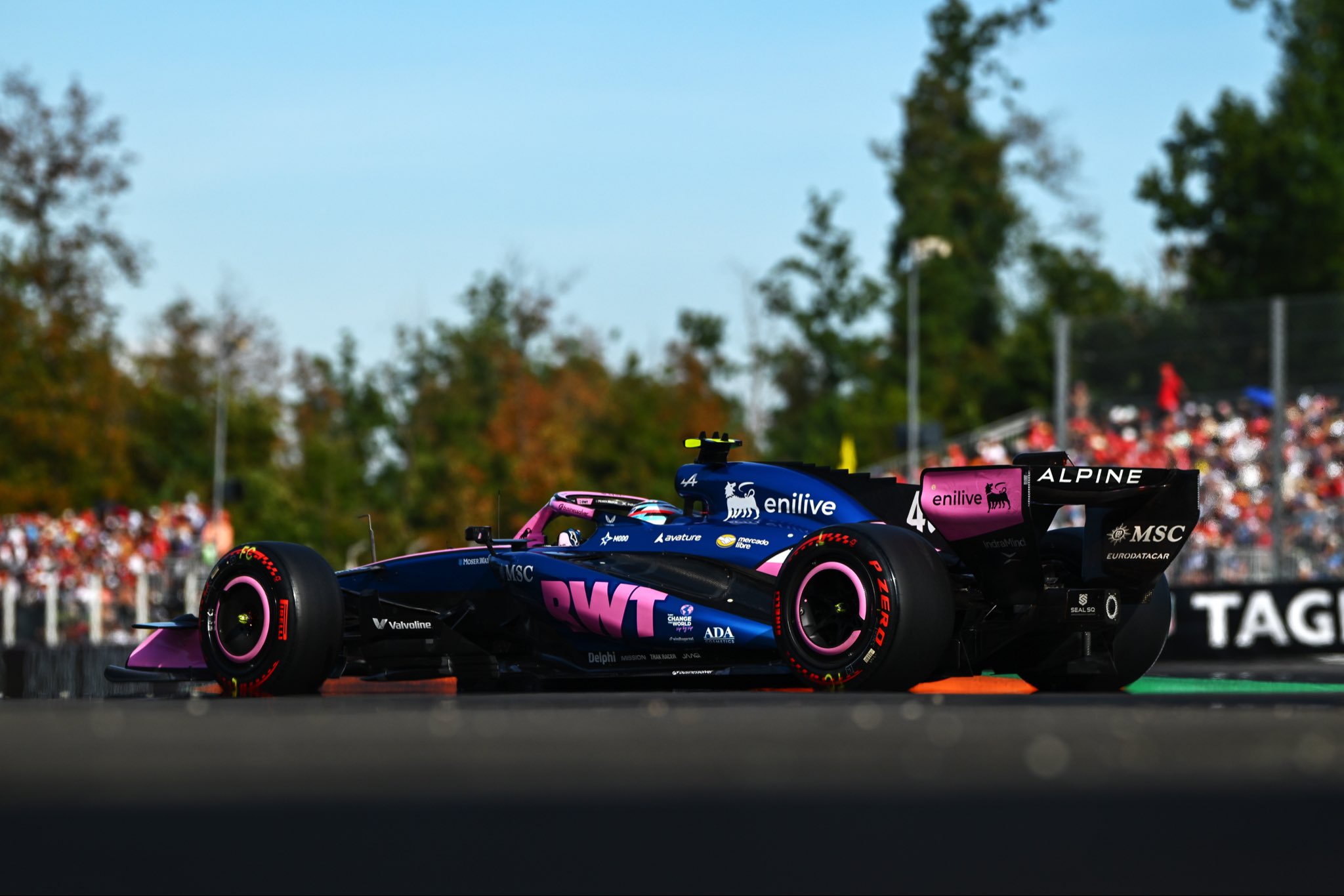 "No te des por vencido ni a&uacute;n vencido", el reconocimiento de la F1 al trabajo de Franco Colapinto en el GP de Italia