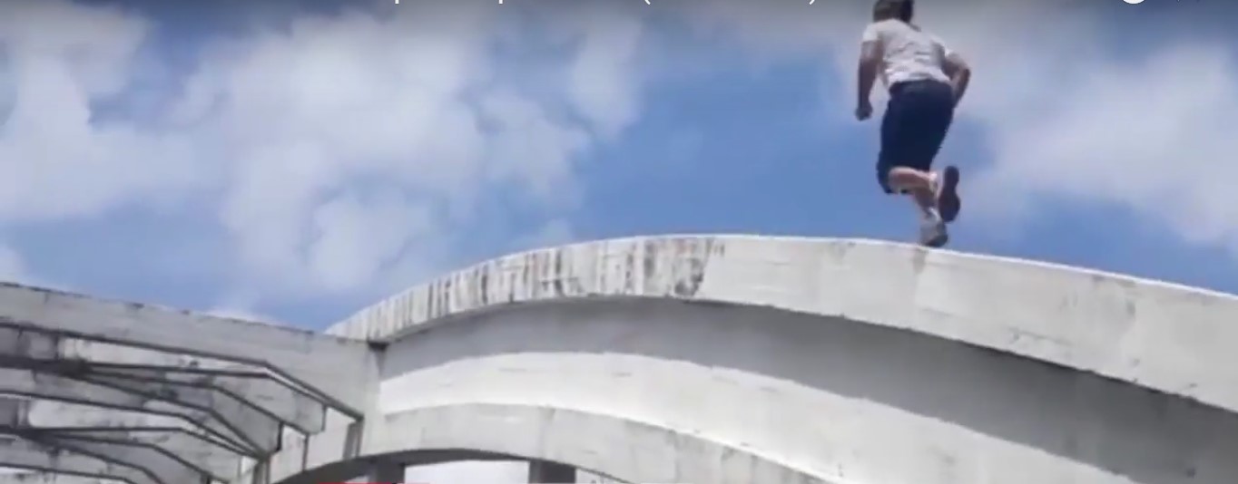 Cada Di Palma con su tema Cada Di Palma con su tema