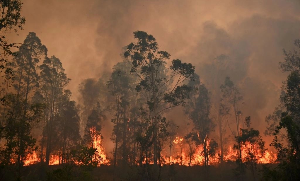 Por el fuego cancelan el Rally de Australia Por el fuego cancelan el Rally de Australia